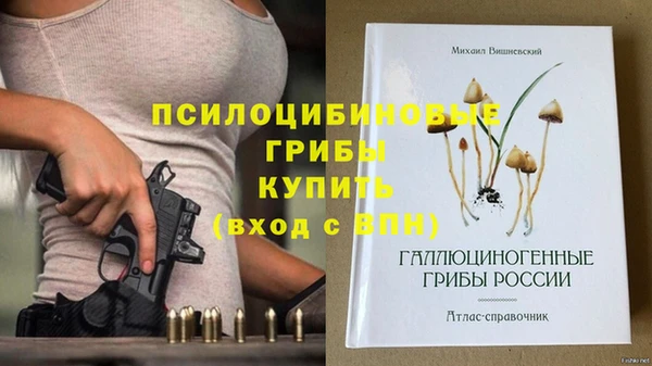 трава Богородицк