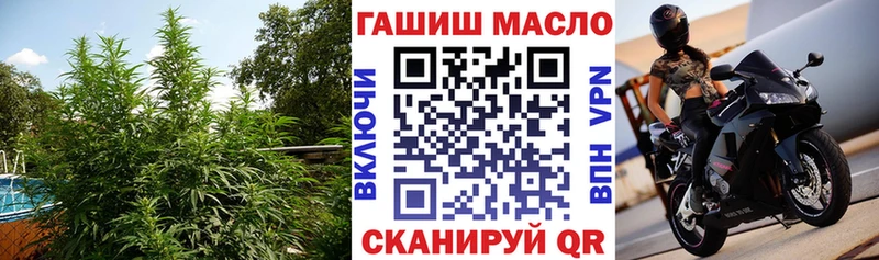 ТГК вейп с тгк  где найти наркотики  Киселёвск 