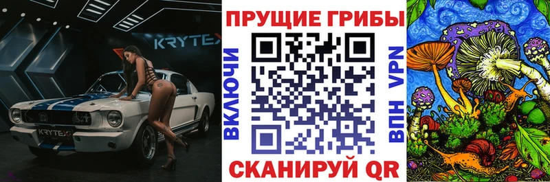 наркошоп  Киселёвск  Псилоцибиновые грибы Psilocybe 